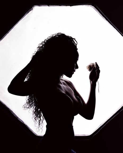 Artistic silhouette of a woman posing gracefully with bright studio backlight.