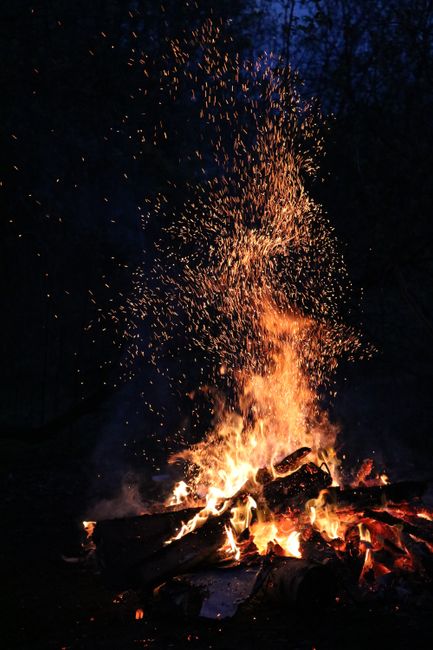 A blazing campfire illuminates the night, with sparks flying in the dark forest atmosphere