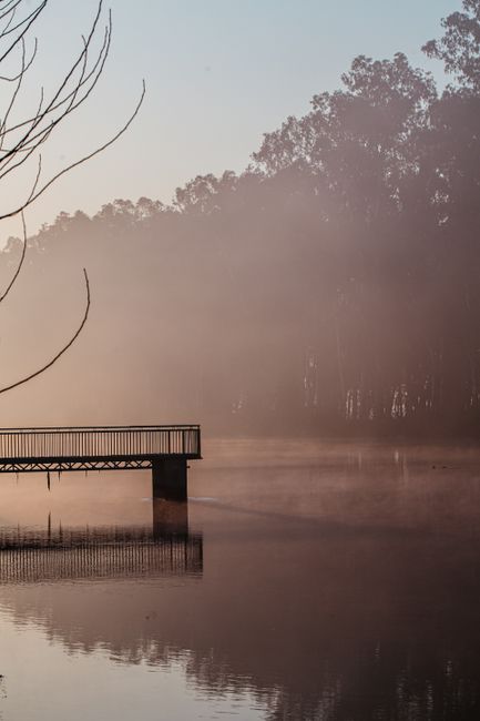 A tranquil scene of a misty lake with a dock, surrounded by early morning fog.